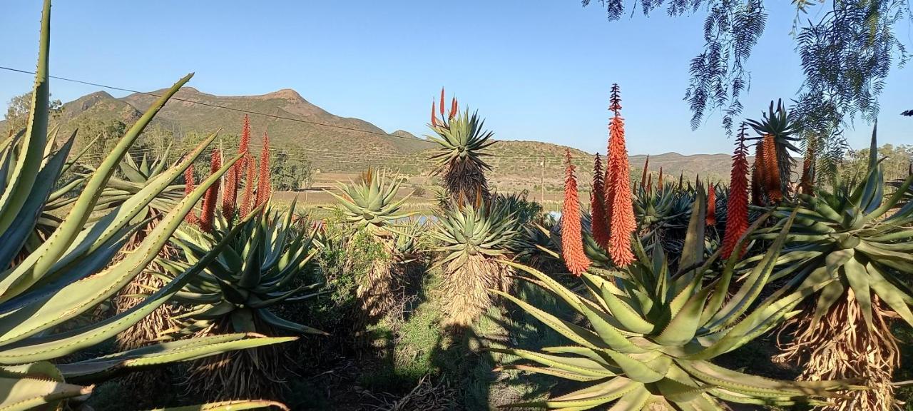 Koedoeskloof Guesthouse Ladismith Extérieur photo