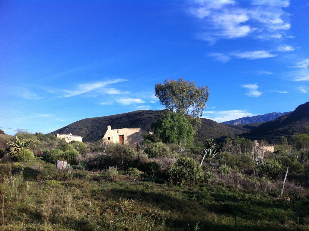 Koedoeskloof Guesthouse Ladismith Extérieur photo