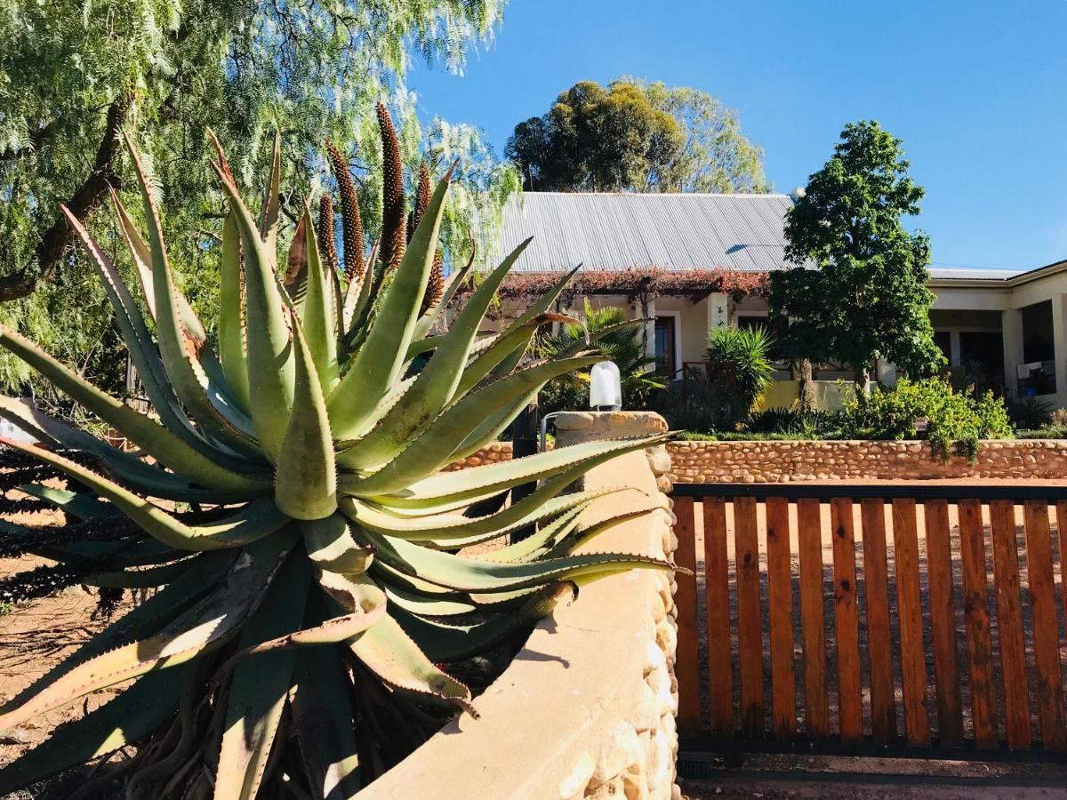 Koedoeskloof Guesthouse Ladismith Extérieur photo